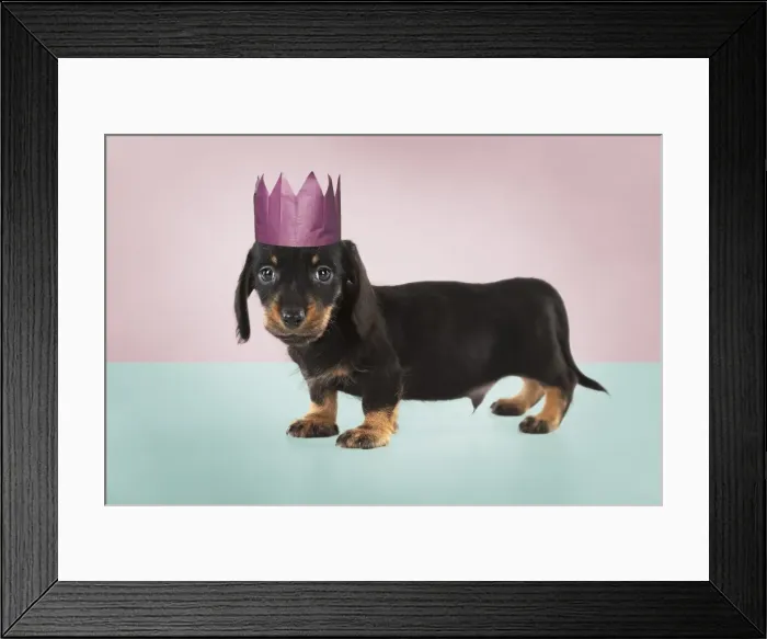 Framed Print : Picture No. 11768955 Framed Print : Picture No. 11768955