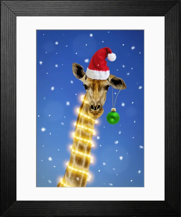 Framed Print : Picture No. 11768960 Framed Print : Picture No. 11768960