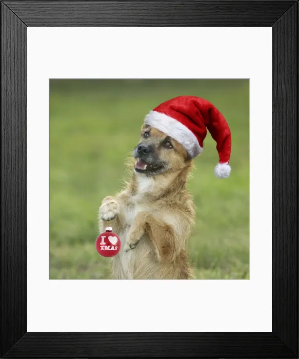 Framed Print : Picture No. 11769061 Framed Print : Picture No. 11769061