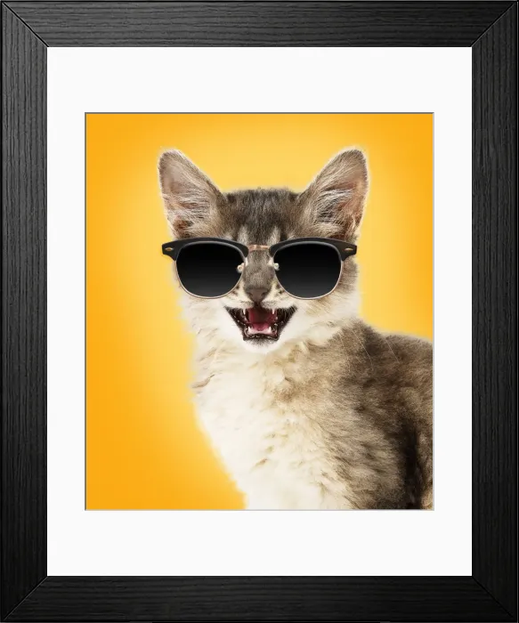 Framed Print : Picture No. 11768956 Framed Print : Picture No. 11768956
