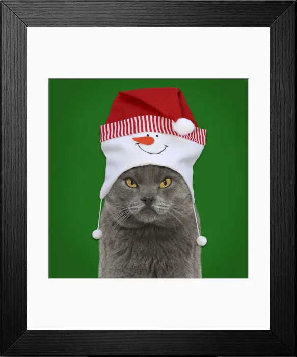 Framed Print : Picture No. 11769071 Framed Print : Picture No. 11769071