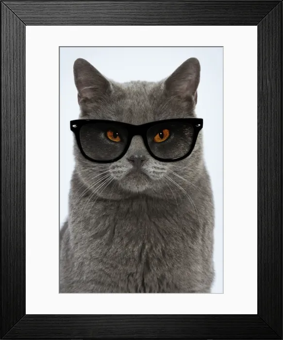 Framed Print : Picture No. 11769072 Framed Print : Picture No. 11769072