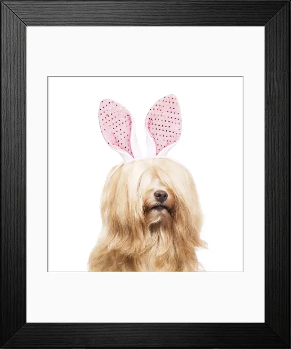 Framed Print : Picture No. 11769088 Framed Print : Picture No. 11769088