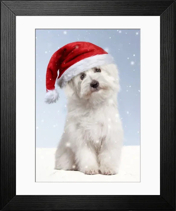 Framed Print : Picture No. 11769085 Framed Print : Picture No. 11769085