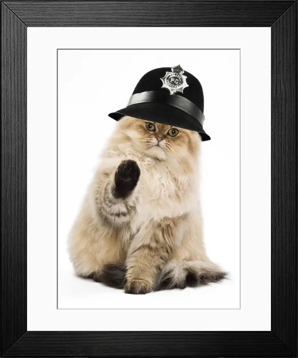 Framed Print : Picture No. 11769090 Framed Print : Picture No. 11769090