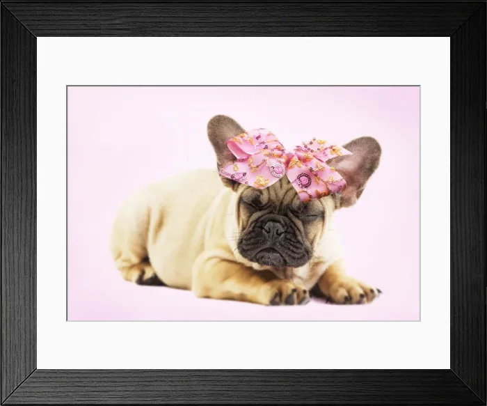 Framed Print : Picture No. 11769091 Framed Print : Picture No. 11769091