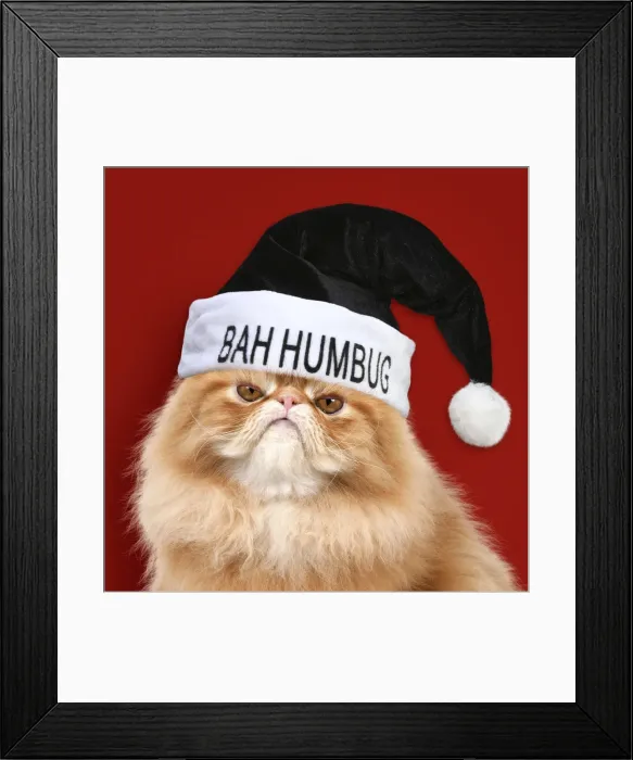 Framed Print : Picture No. 11769092 Framed Print : Picture No. 11769092