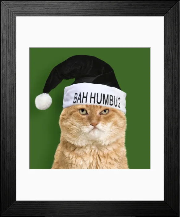 Framed Print : Picture No. 11769095 Framed Print : Picture No. 11769095