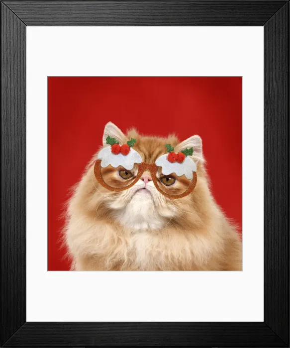 Framed Print : Picture No. 11769094 Framed Print : Picture No. 11769094
