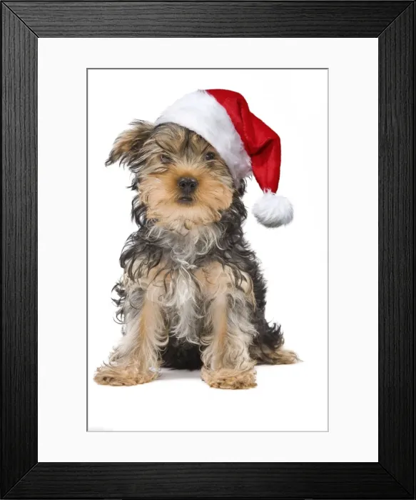 Framed Print : Picture No. 11769098 Framed Print : Picture No. 11769098