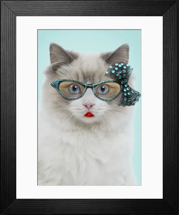 Framed Print : Picture No. 11769097 Framed Print : Picture No. 11769097