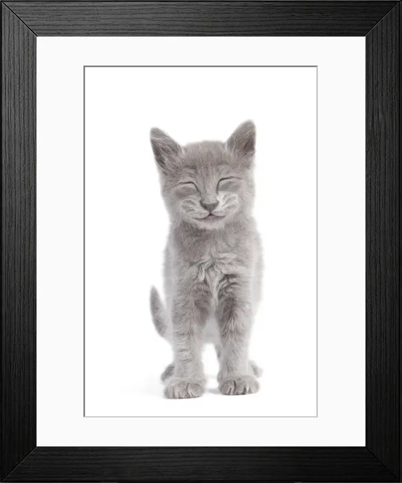 Framed Print : Picture No. 11769102 Framed Print : Picture No. 11769102