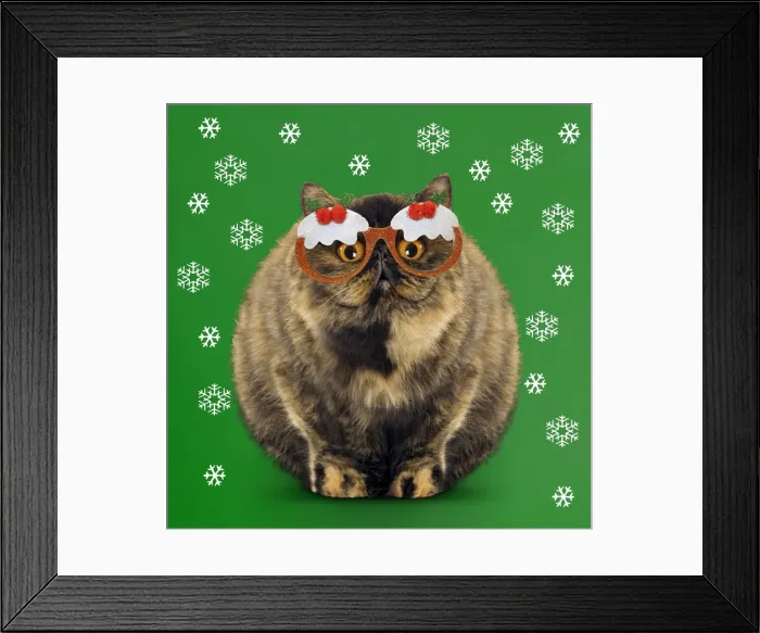 Framed Print : Picture No. 11769099 Framed Print : Picture No. 11769099