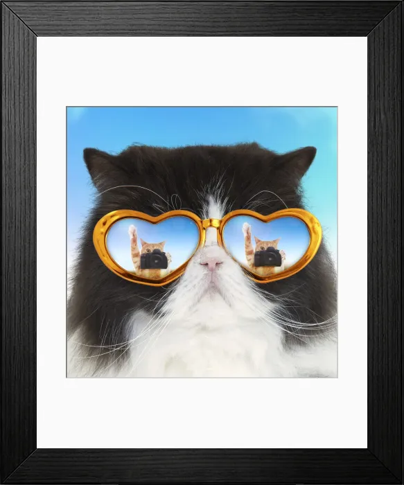 Framed Print : Picture No. 11768965 Framed Print : Picture No. 11768965