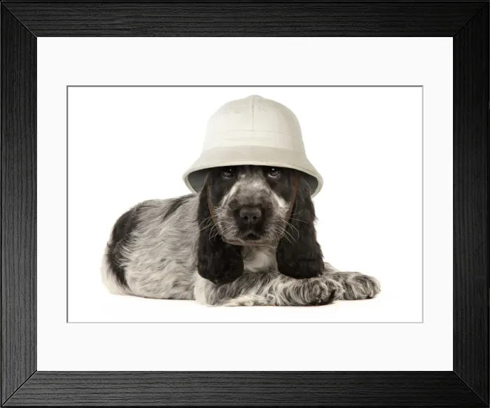 Framed Print : Picture No. 11768968 Framed Print : Picture No. 11768968