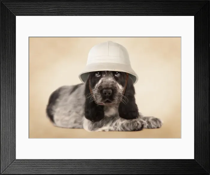 Framed Print : Picture No. 11768969 Framed Print : Picture No. 11768969