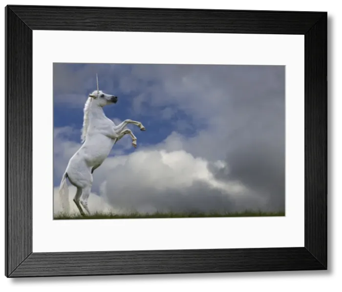 Framed Print : Picture No. 11768972 Framed Print : Picture No. 11768972