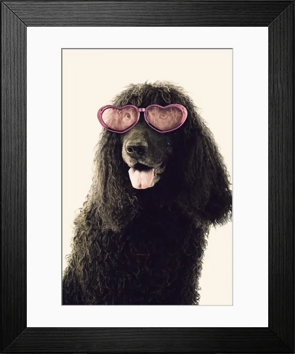 Framed Print : Picture No. 11768979 Framed Print : Picture No. 11768979