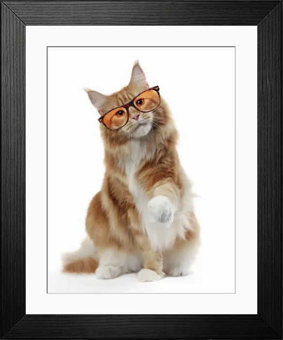 Framed Print : Picture No. 11768982 Framed Print : Picture No. 11768982