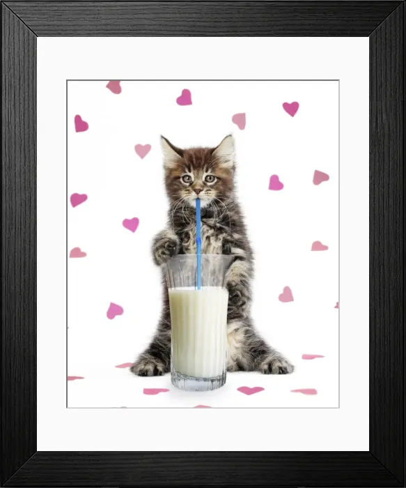 Framed Print : Picture No. 11768985
