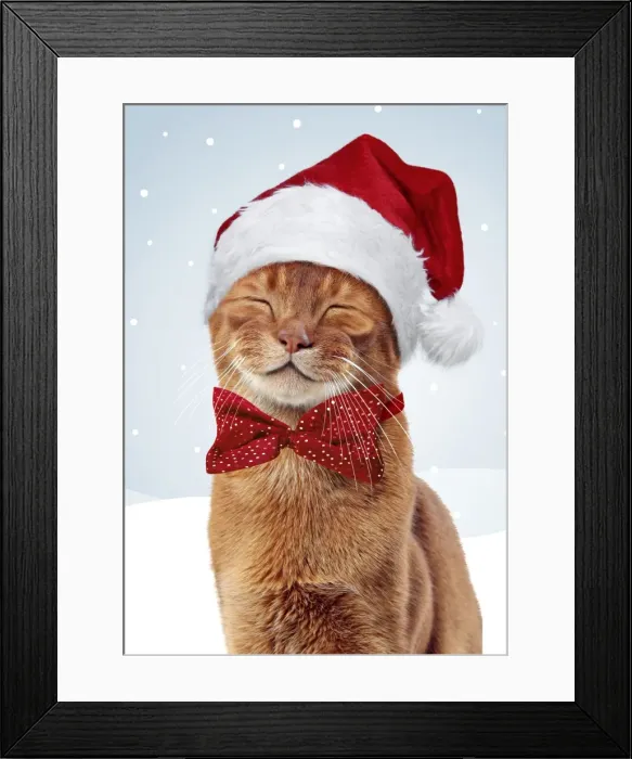 Framed Print : Picture No. 11768987 Framed Print : Picture No. 11768987