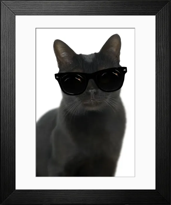 Framed Print : Picture No. 11768988 Framed Print : Picture No. 11768988
