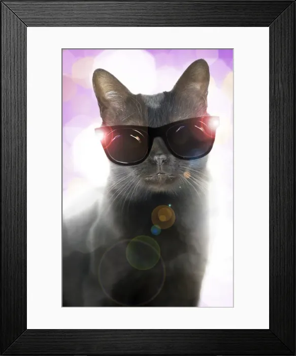 Framed Print : Picture No. 11768989 Framed Print : Picture No. 11768989