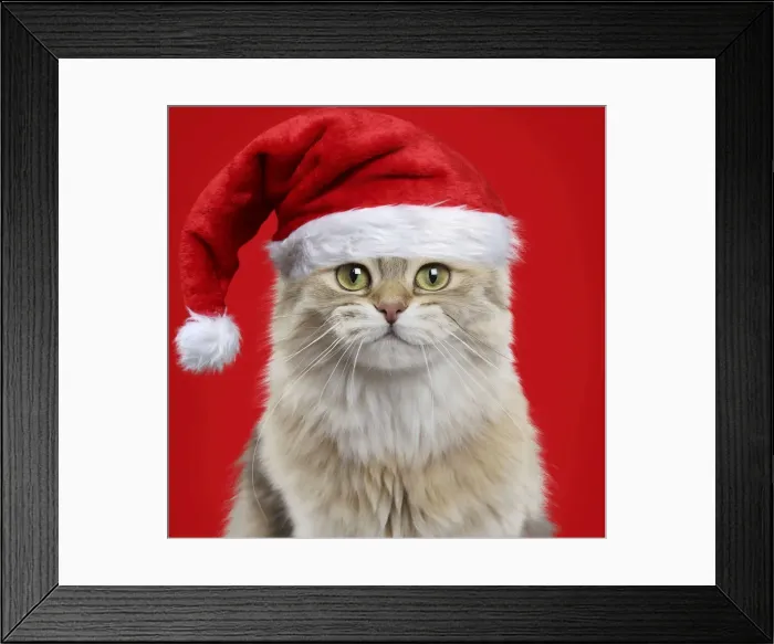 Framed Print : Picture No. 11768991 Framed Print : Picture No. 11768991