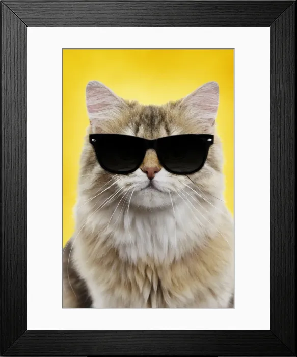 Framed Print : Picture No. 11768994 Framed Print : Picture No. 11768994
