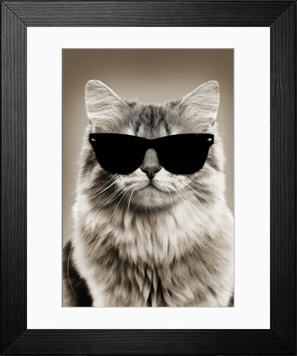 Framed Print : Picture No. 11768996 Framed Print : Picture No. 11768996