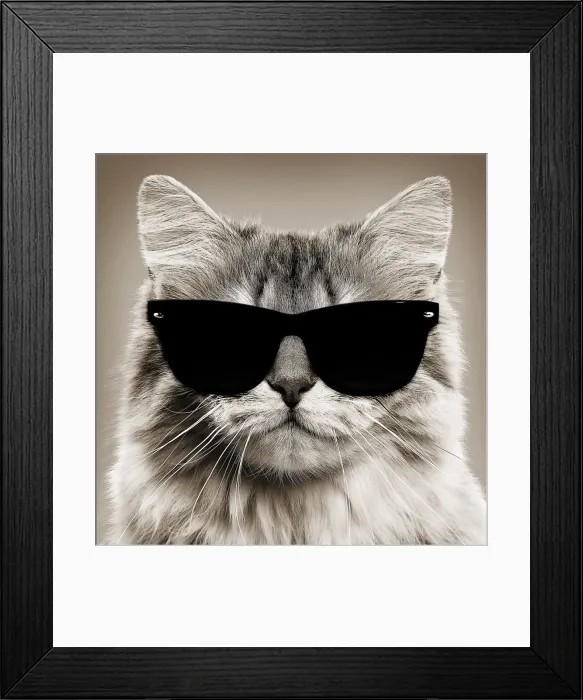 Framed Print : Picture No. 11768995 Framed Print : Picture No. 11768995