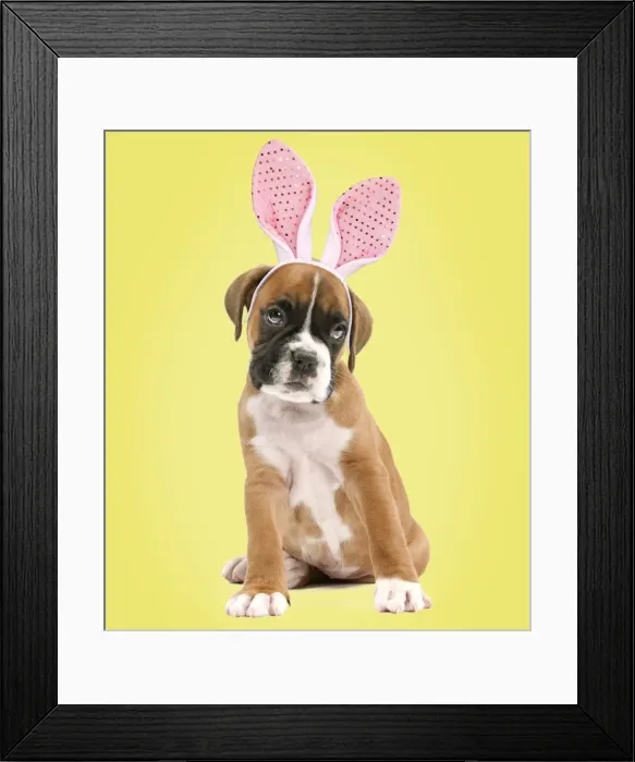 Framed Print : Picture No. 11769001 Framed Print : Picture No. 11769001