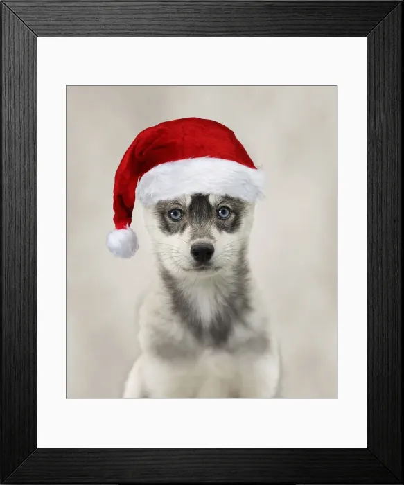 Framed Print : Picture No. 11769008 Framed Print : Picture No. 11769008