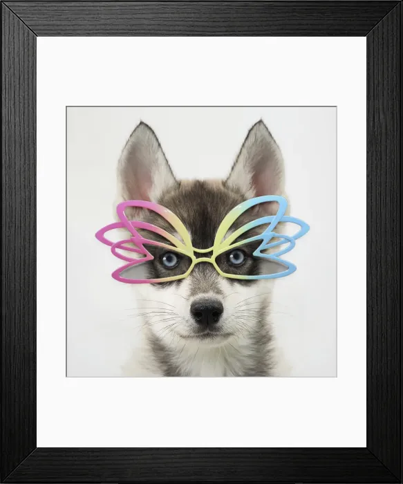 Framed Print : Picture No. 11769007 Framed Print : Picture No. 11769007
