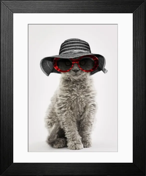 Framed Print : Picture No. 11769013 Framed Print : Picture No. 11769013