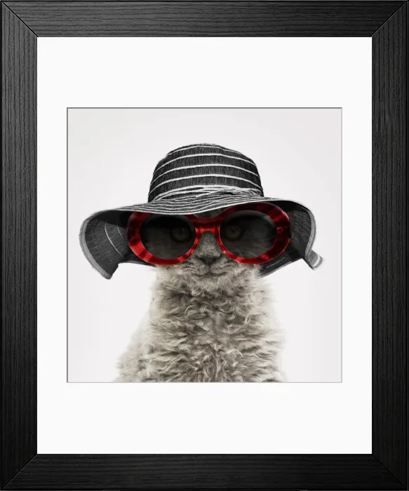 Framed Print : Picture No. 11769012 Framed Print : Picture No. 11769012