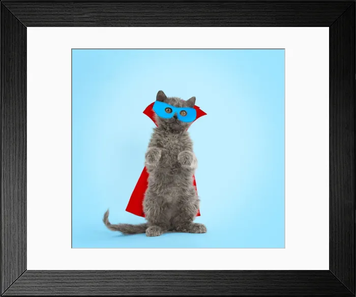 Framed Print : Picture No. 11769015 Framed Print : Picture No. 11769015