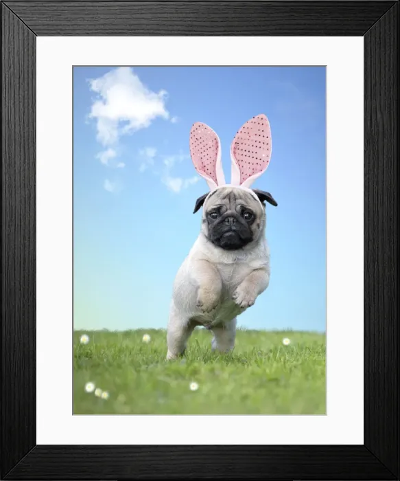 Framed Print : Picture No. 11769019 Framed Print : Picture No. 11769019