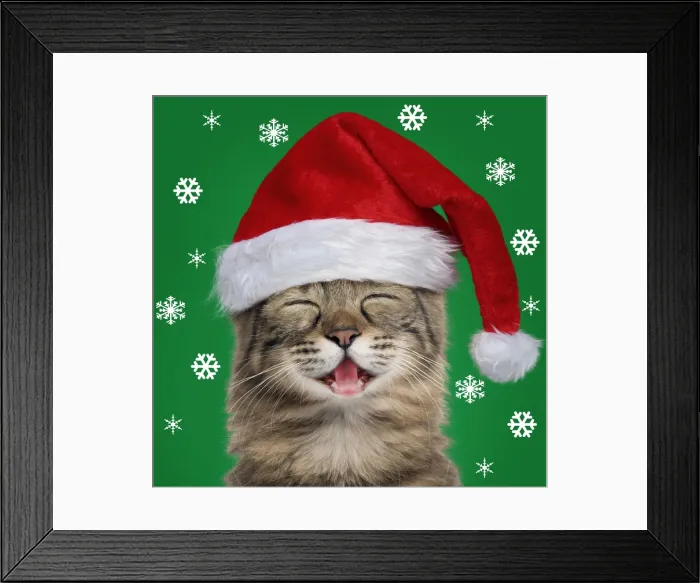 Framed Print : Picture No. 11769020 Framed Print : Picture No. 11769020