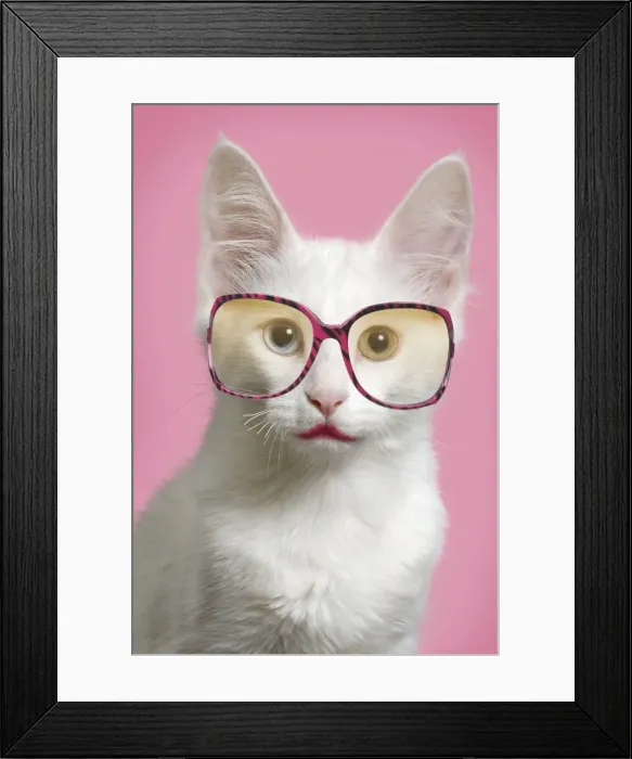 Framed Print : Picture No. 11769021 Framed Print : Picture No. 11769021