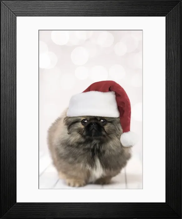 Framed Print : Picture No. 11769023 Framed Print : Picture No. 11769023