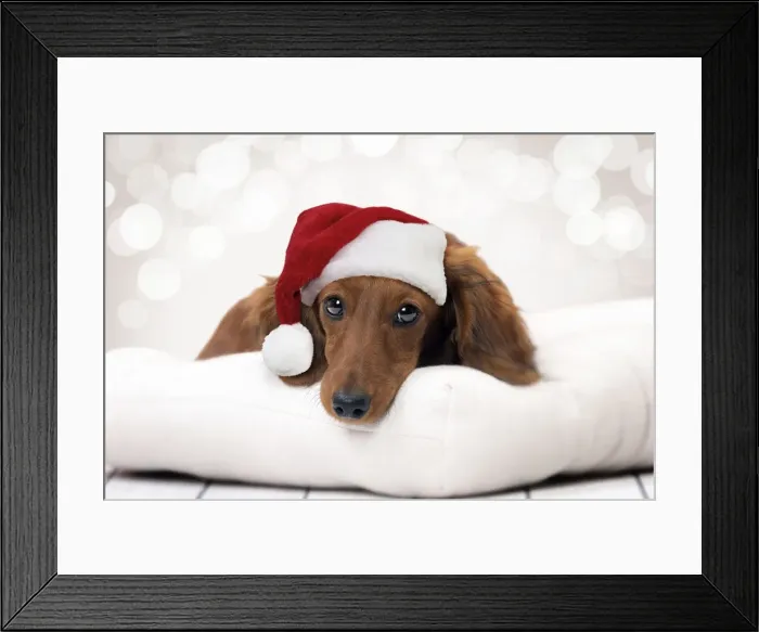 Framed Print : Picture No. 11769025 Framed Print : Picture No. 11769025