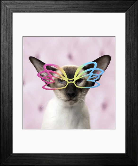 Framed Print : Picture No. 11769024