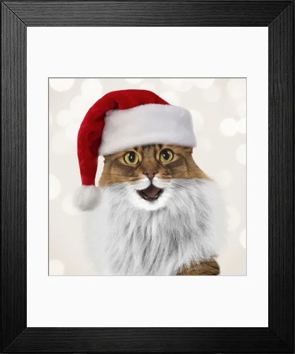 Framed Print : Picture No. 11769030 Framed Print : Picture No. 11769030