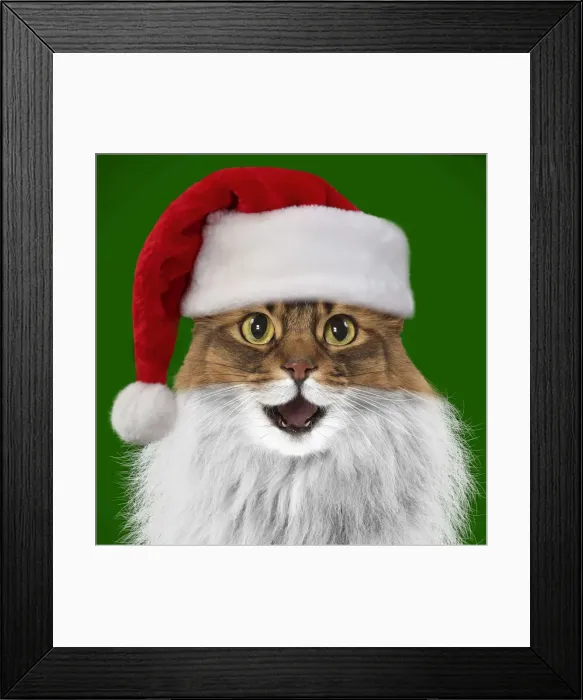 Framed Print : Picture No. 11769031 Framed Print : Picture No. 11769031