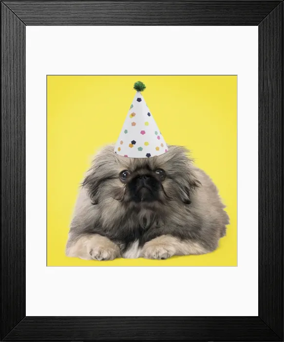 Framed Print : Picture No. 11769028 Framed Print : Picture No. 11769028