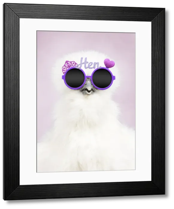 Framed Print : Picture No. 11769033