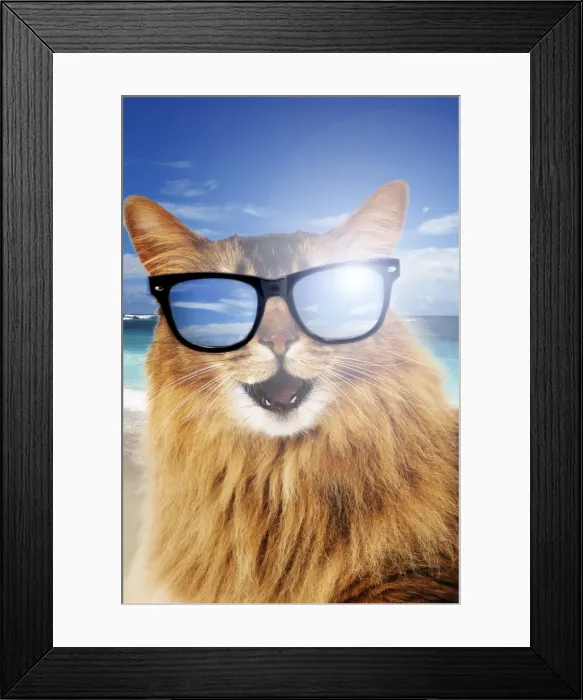 Framed Print : Picture No. 11769032 Framed Print : Picture No. 11769032