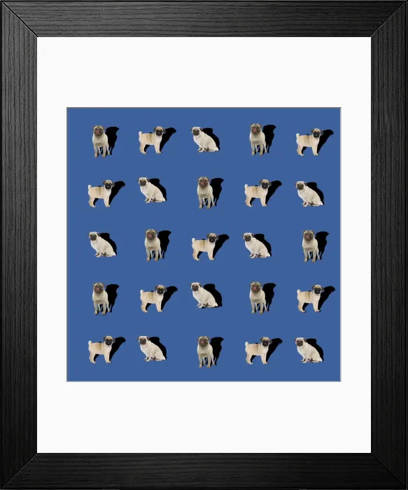 Framed Print : Picture No. 11769036