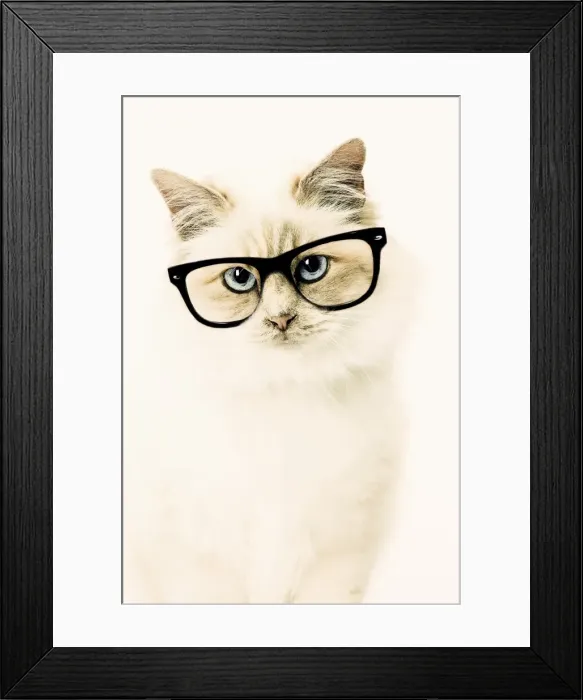 Framed Print : Picture No. 11769039 Framed Print : Picture No. 11769039